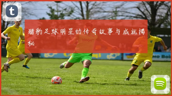 猎豹足球明星的传奇故事与成就揭秘