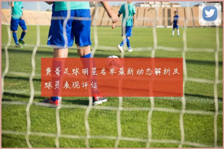 费哥足球明星名单最新动态解析及球员表现评估