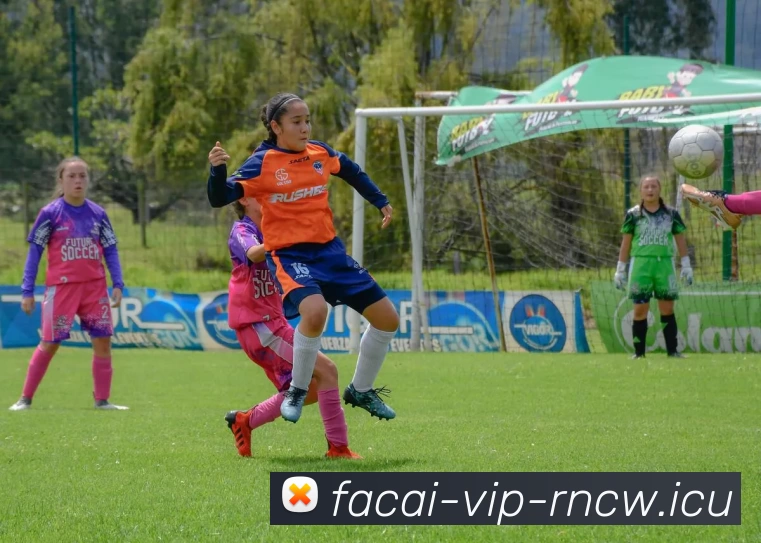 乐鱼体育APP 封面图